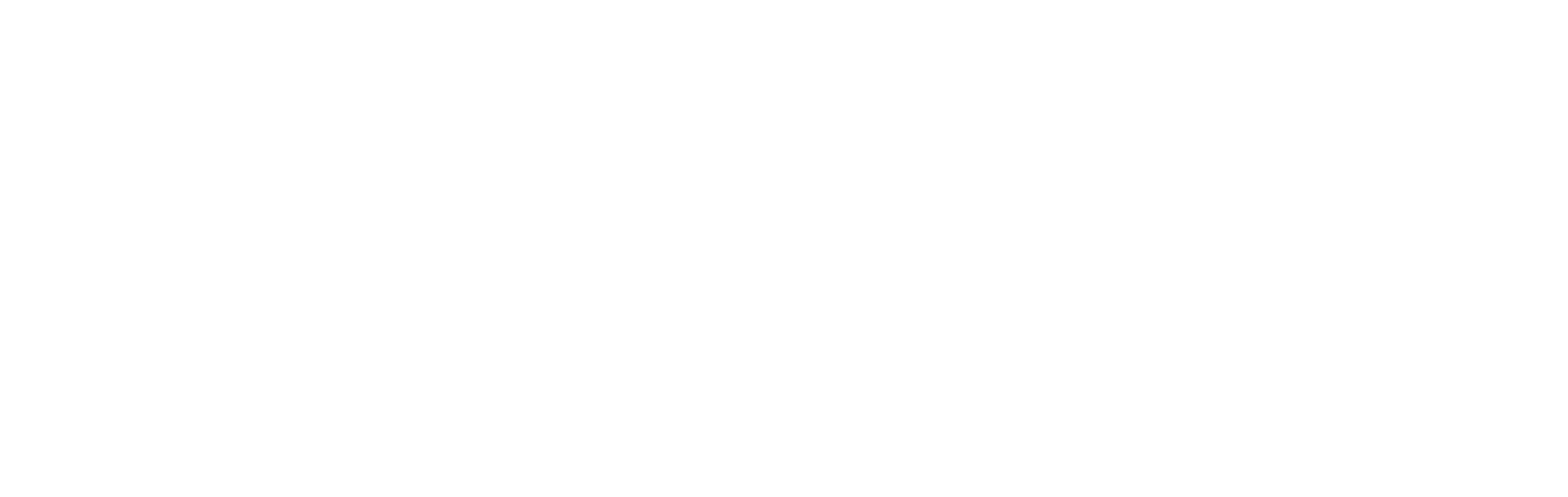 Footer Logo for First Baptist Academy